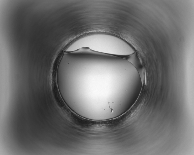 X0000096450252200802141518