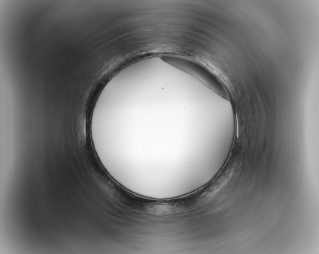 X0000096450253200802141518