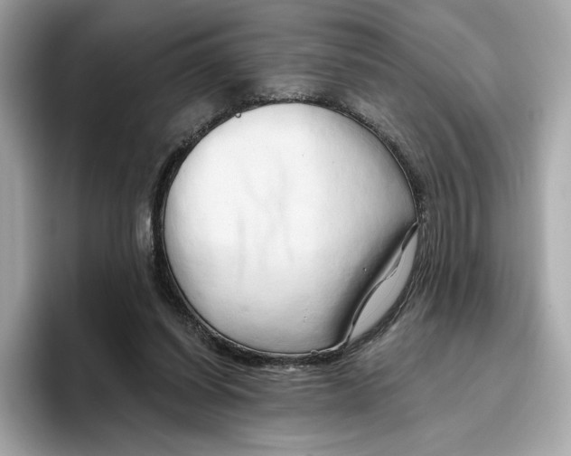 X0000096450254200802141518