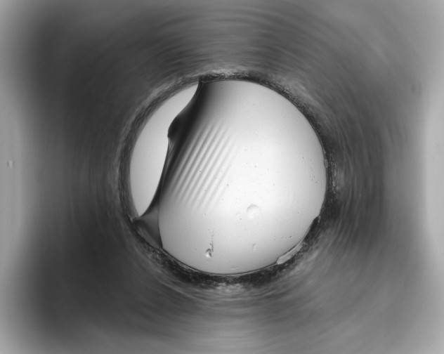 X0000096450256200802141518