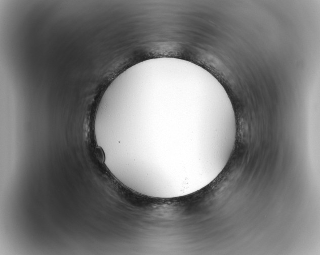 X0000096450259200802141518