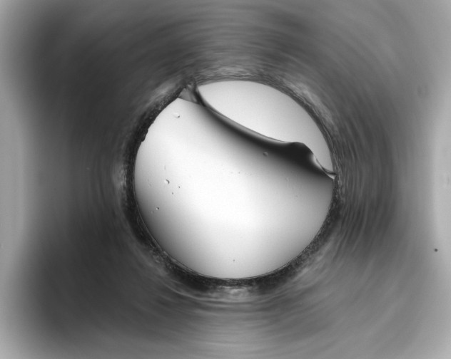 X0000096450260200802141518