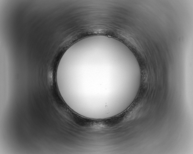 X0000096450262200802141518