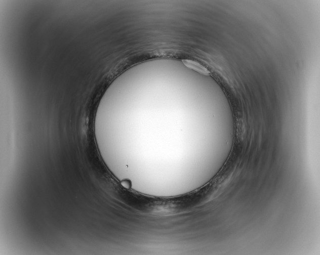 X0000096450263200802141518