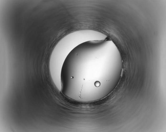 X0000096450264200802141518