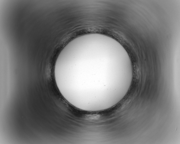 X0000096450266200802141518