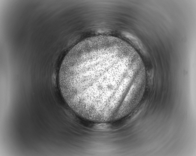 X0000096450269200802141518