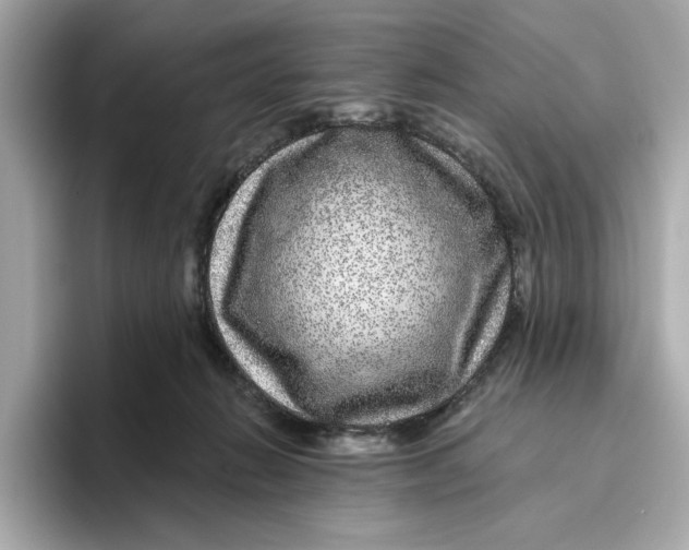 X0000096450270200802141518