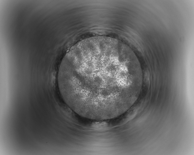 X0000096450271200802141518