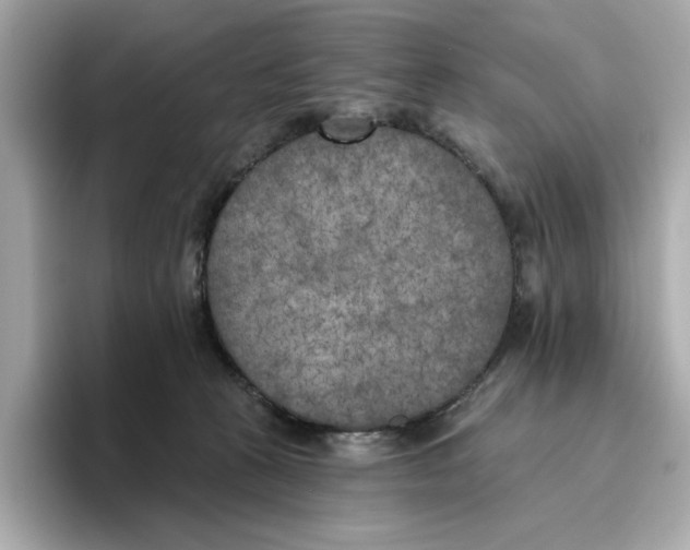 X0000096450273200802141518