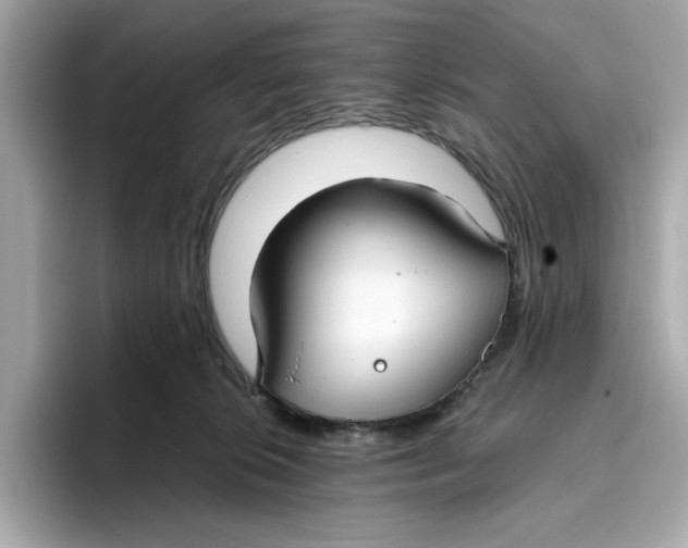 X0000096450276200802141518