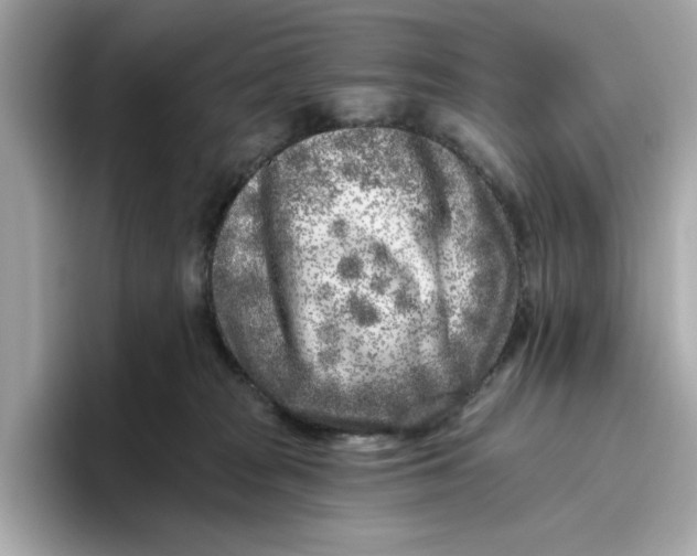 X0000096450277200802141518