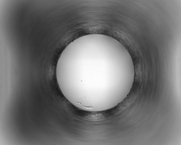 X0000096450278200802141518