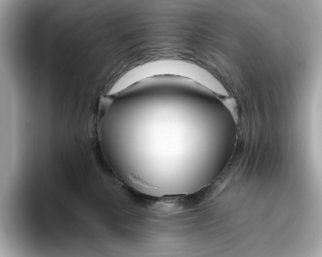 X0000096450280200802141518