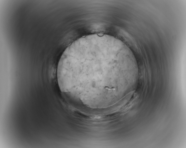 X0000096450281200802141518