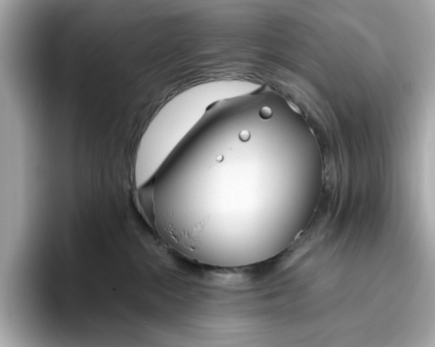 X0000096450284200802141518