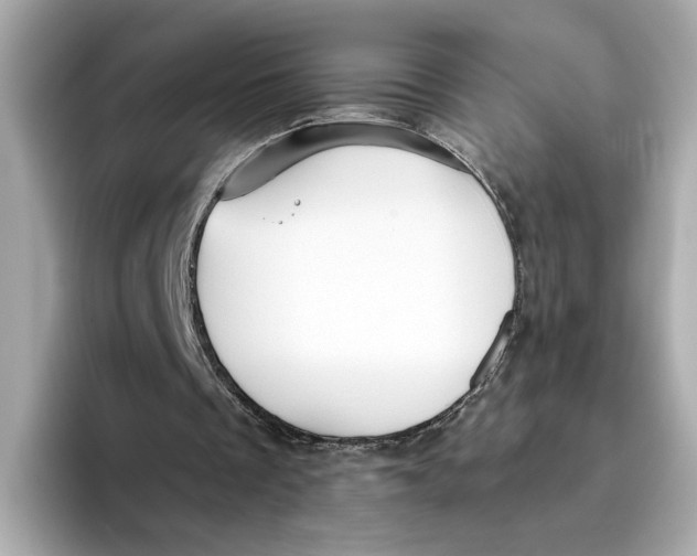 X0000096450289200802141518