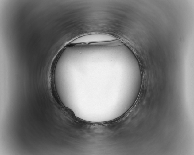 X0000096450290200802141518