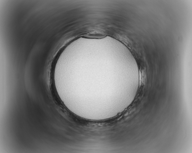 X0000096450291200802141518