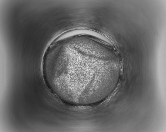 X0000096450292200802141518