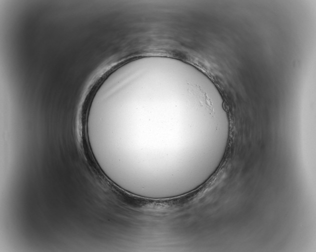 X0000096450294200802141517