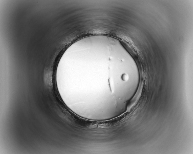 X0000096450299200802141517