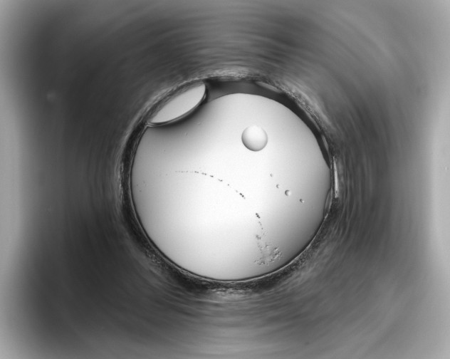 X0000096450300200802141517