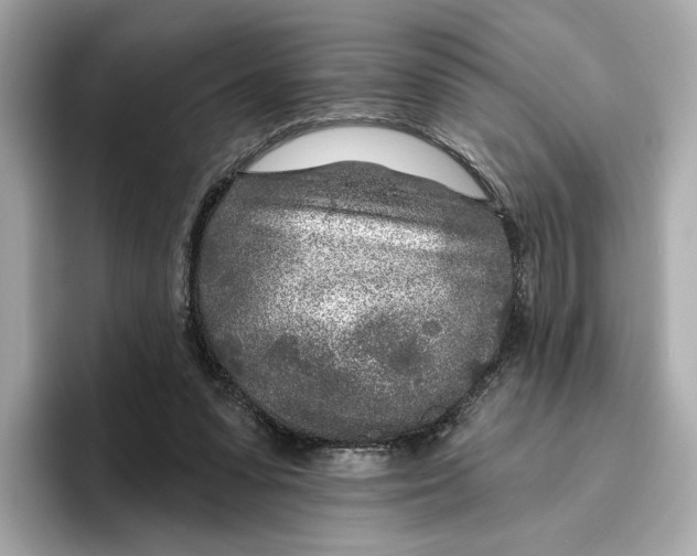 X0000096450303200802141517