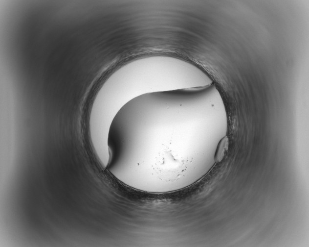 X0000096450304200802141517