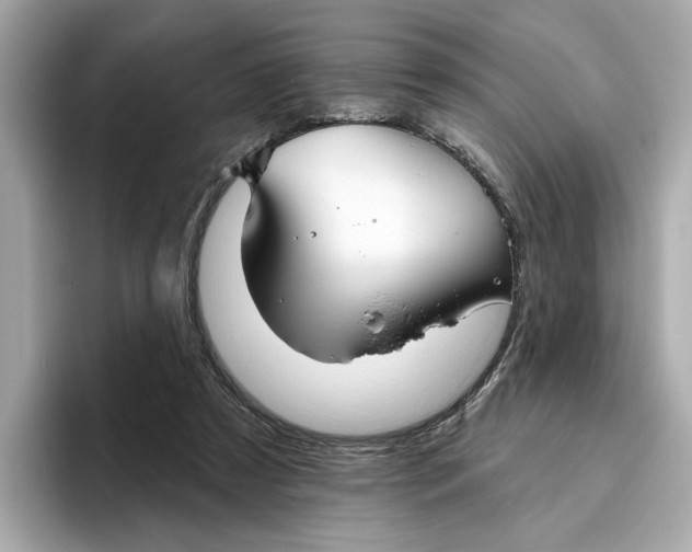 X0000096450305200802141517