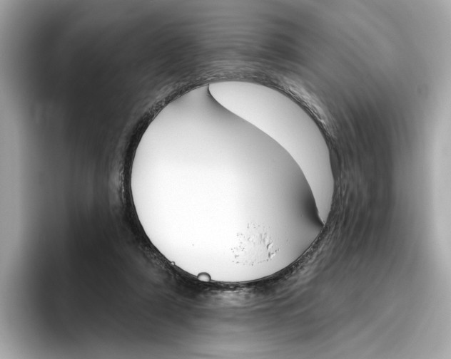 X0000096450306200802141517