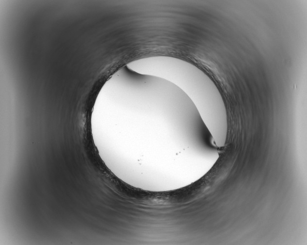 X0000096450308200802141517