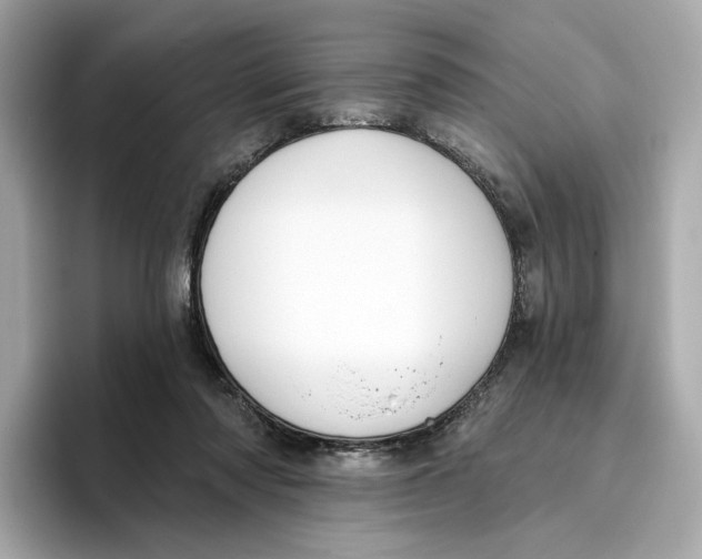 X0000096450310200802141517