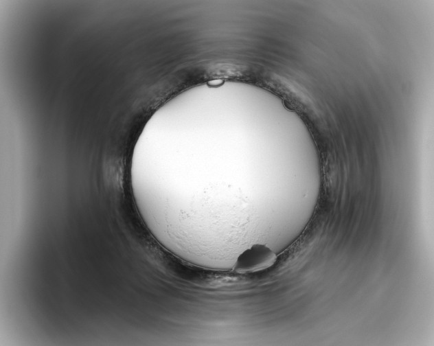 X0000096450315200802141517