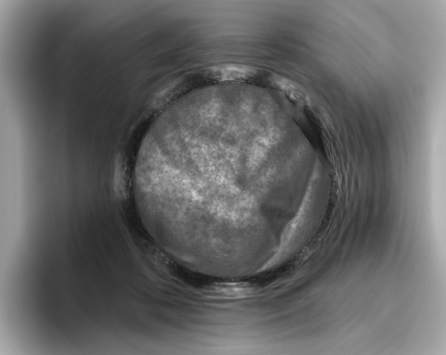 X0000096450316200802141517