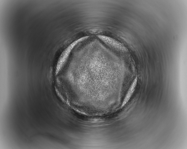 X0000096450319200802141517