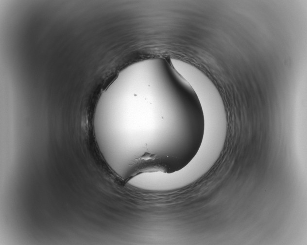 X0000096450320200802141517