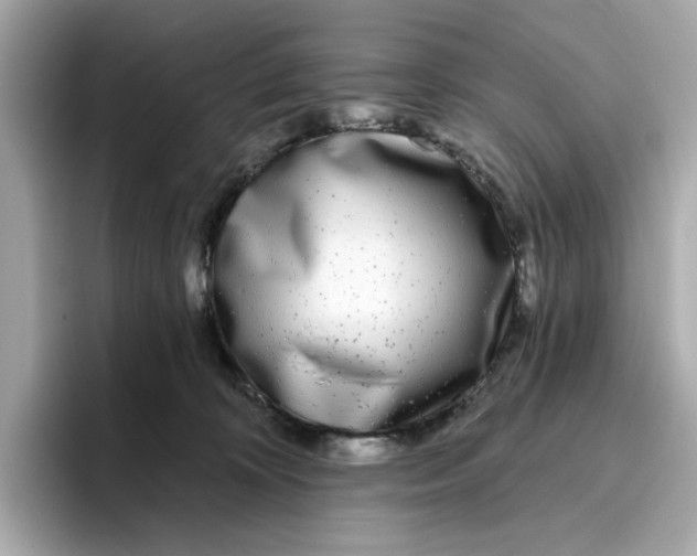 X0000096450324200802141517