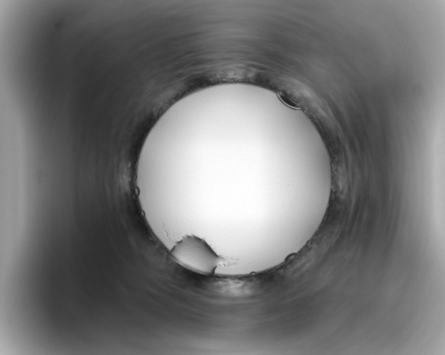 X0000096450326200802141517