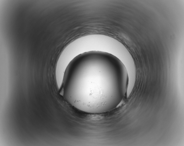 X0000096450327200802141517