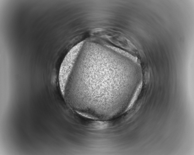 X0000096450328200802141517