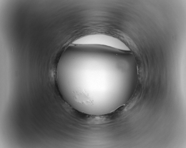 X0000096450329200802141517