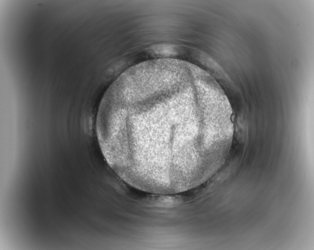 X0000096450330200802141517