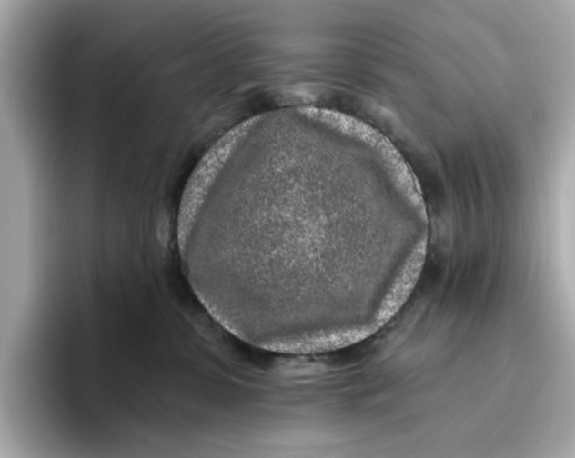 X0000096450331200802141517