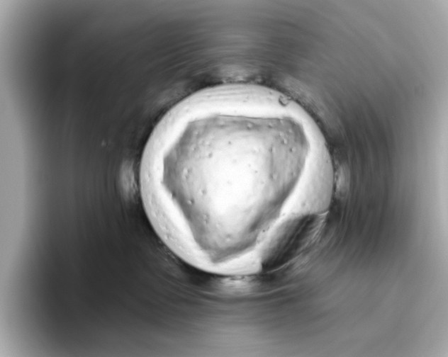 X0000096450335200802141517