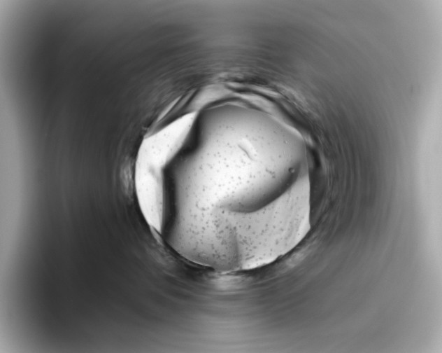 X0000096450336200802141517