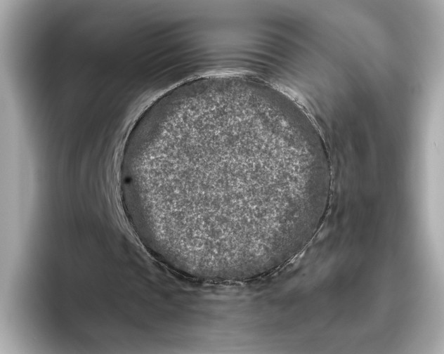 X0000096450337200802141516