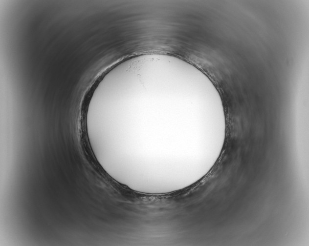 X0000096450338200802141516