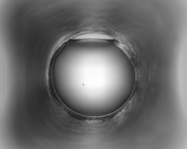 X0000096450340200802141516