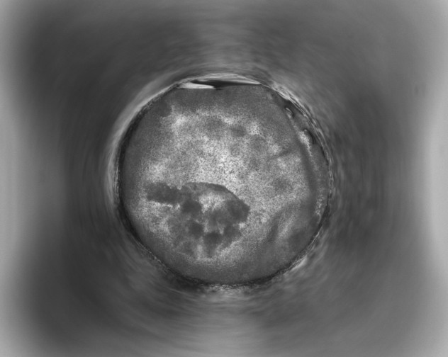 X0000096450343200802141516